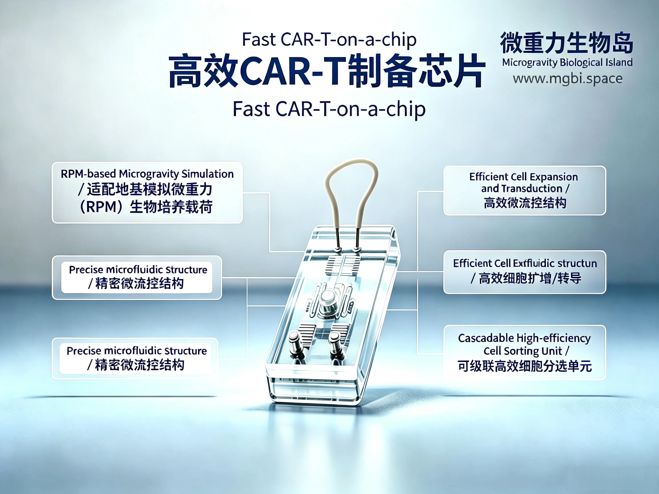 Fast CAR-T-on-a-chip